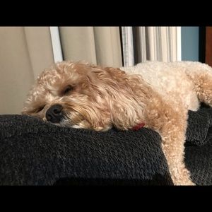 Meet your Posher, Leslie